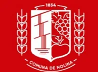 CLIENTE MECANICA DE SUELOS ILUSTRE MUNICIPALIDAD DE MOLINA