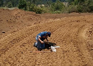 definicion de mecanica de suelos